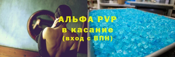 дживик Богородск