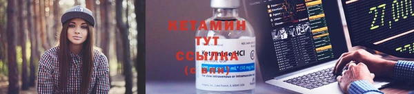 твердый Богданович