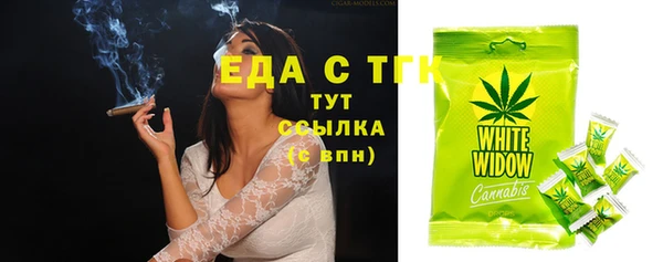 твердый Богданович